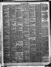 Lurgan Times Saturday 20 May 1882 Page 3