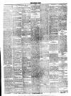 Lurgan Times Saturday 17 January 1885 Page 3