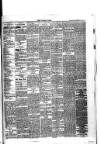 Lurgan Times Saturday 12 September 1891 Page 3