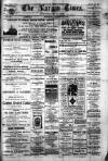 Lurgan Times Saturday 18 January 1896 Page 1