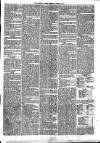 Croydon Times Saturday 25 June 1864 Page 3
