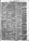 Croydon Times Saturday 11 March 1865 Page 3