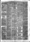 Croydon Times Saturday 29 April 1865 Page 3