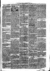 Croydon Times Wednesday 05 July 1865 Page 7