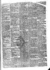 Croydon Times Saturday 06 January 1866 Page 3