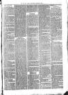Croydon Times Wednesday 06 January 1869 Page 3