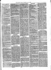 Croydon Times Wednesday 12 May 1869 Page 3