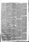 Croydon Times Wednesday 09 June 1875 Page 3