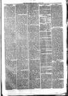 Croydon Times Wednesday 30 June 1875 Page 3