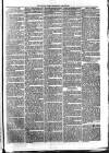 Croydon Times Wednesday 30 June 1875 Page 7