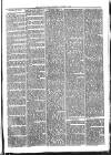 Croydon Times Wednesday 11 August 1875 Page 7