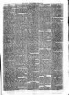 Croydon Times Saturday 29 April 1876 Page 3