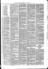 Croydon Times Wednesday 03 January 1877 Page 7
