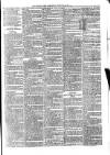 Croydon Times Wednesday 21 February 1877 Page 3