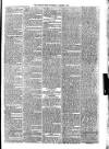 Croydon Times Wednesday 09 January 1878 Page 5