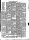 Croydon Times Wednesday 23 January 1878 Page 3