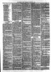 Croydon Times Wednesday 24 December 1879 Page 6