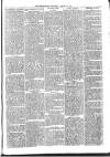 Croydon Times Wednesday 21 January 1880 Page 3