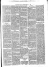 Croydon Times Saturday 14 February 1880 Page 3