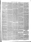 Croydon Times Saturday 13 March 1880 Page 3
