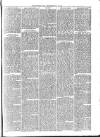 Croydon Times Wednesday 19 May 1880 Page 3