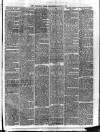 Croydon Times Wednesday 02 January 1884 Page 7