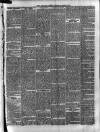 Croydon Times Wednesday 19 March 1884 Page 7