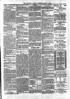 Croydon Times Saturday 01 April 1893 Page 3