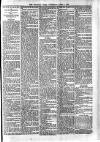 Croydon Times Saturday 01 April 1893 Page 7