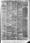 Croydon Times Wednesday 31 May 1893 Page 7