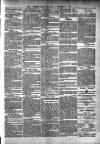 Croydon Times Saturday 02 December 1893 Page 3