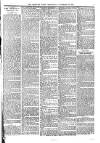 Croydon Times Wednesday 21 November 1894 Page 7