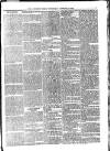 Croydon Times Wednesday 16 January 1895 Page 5