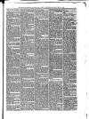 Dover Chronicle Saturday 26 May 1860 Page 3