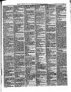 Dover Chronicle Friday 14 May 1875 Page 7