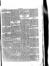 Y Gwyliedydd Friday 23 March 1877 Page 3