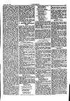 Y Gwyliedydd Thursday 23 January 1879 Page 5