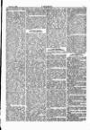 Y Gwyliedydd Wednesday 04 January 1882 Page 5