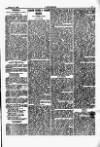 Y Gwyliedydd Wednesday 25 October 1882 Page 7