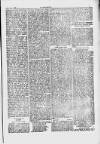 Y Gwyliedydd Wednesday 27 August 1884 Page 5