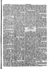 Y Gwyliedydd Wednesday 06 February 1889 Page 5