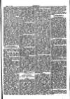 Y Gwyliedydd Wednesday 03 April 1889 Page 5