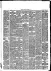 Trowbridge Chronicle Saturday 13 January 1877 Page 3