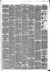 Trowbridge Chronicle Saturday 26 May 1877 Page 3