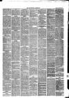 Trowbridge Chronicle Saturday 29 December 1877 Page 3