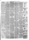 Trowbridge Chronicle Saturday 31 July 1880 Page 7