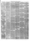 Trowbridge Chronicle Saturday 18 March 1882 Page 3