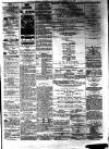 Ayr Observer Friday 07 March 1879 Page 7