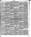Woolwich Herald Friday 14 February 1896 Page 5