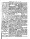 Dominica Guardian Saturday 15 July 1893 Page 3